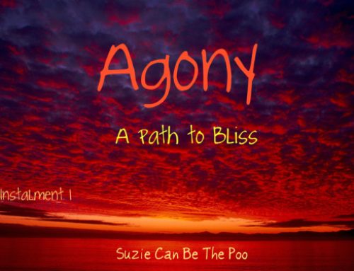 Installment One ~~ Suzie Can Be the Poo