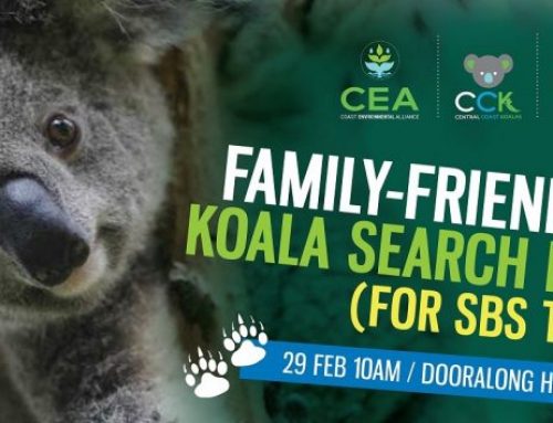 SBS (TV) Koala Search day, 29 February 2020