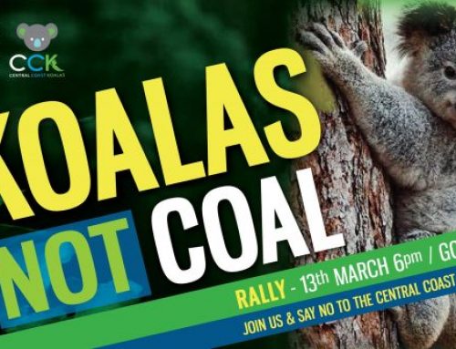 Koalas Not Coal Rally, March 13 2020